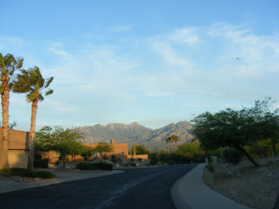 Green Valley evening