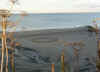 crop circle on the beach.jpg (54845 bytes)